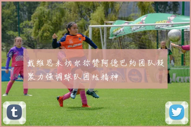 戴维恩米切尔称赞阿德巴约团队凝聚力强调球队团结精神