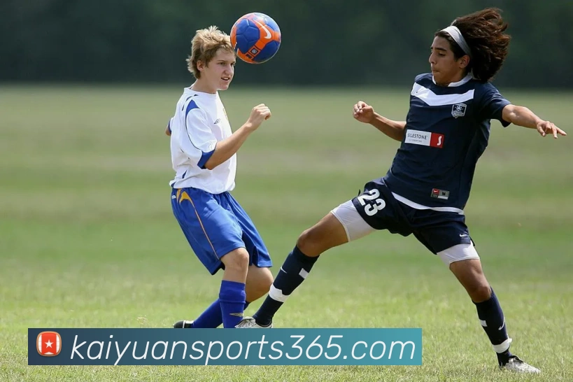 开元体育平台生态图